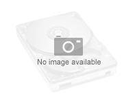 HPE - SSD - Read Intensive - 960 Go - interne - M.2 2280 - SATA 6Gb/s P19892-B21