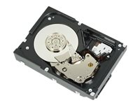 Dell - Disque dur - 1 To - interne - 3.5" - SATA 6Gb/s - 7200 tours/min - pour PowerEdge T130 (3.5"), T30 (3.5"), T330 (3.5"), T430 (3.5") 400-AUPW