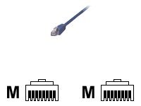 MCL - Câble réseau - RJ-45 (M) pour RJ-45 (M) - 15 m - blindé - CAT 5e - bleu FCC5EBM-15M/B